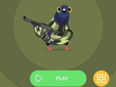 #休闲游戏 疯狂的鸽子。2~34关。