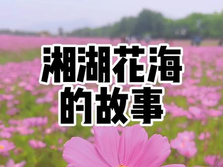 “万花丛中过,片叶不沾身”说的可能就是我,哈哈哈#小郑故事多#vlog十亿流量扶持计划 #抖音带你去赏花 #一花一草一世界 #一起享受大自然的美 #湘湖花海