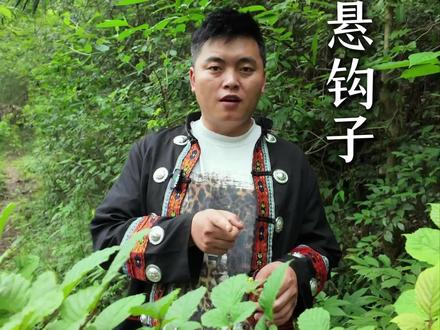 大家有认识这个植物吗#植物科普#农村日常