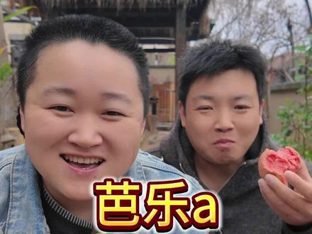 正宗广西白心芭乐,新鲜现摘,奶油冰淇淋的口感,吃起来香甜细腻很浓郁的芭乐香!#芭乐 #应季水果 #奶油芭乐 #白心芭乐 #强烈推荐