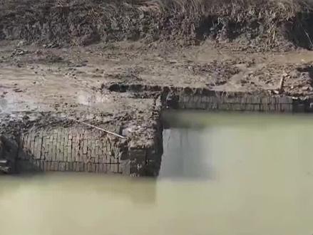 池塘干枯后惊现古墓,墓中大量鸡鸭鹅陪葬 #历史 #考古#古墓#汉墓