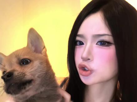 和旺财的最后一个库存🐕 #狗狗 #热脸萌 #卖萌