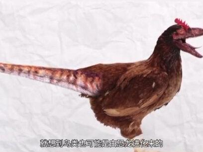 如果说鸟类真的是恐龙后裔,那#恐龙算不算没有灭绝?#科普一下 #恐龙灭绝