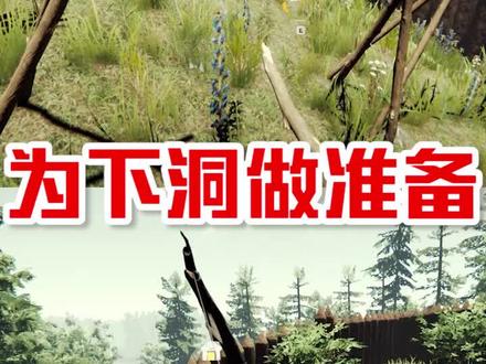 《森林》第十一期 为下洞做准备!