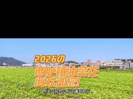 潮阳西胪!百亩油菜花海美出圈。花海伴古寺,春日好去处。 汕头西胪镇波美社区,西胪高速出口旁的百亩油菜花田已悄然焕新,嫩苗亭亭玉立,六七片新叶舒展摇曳,三四寸青姿在蓝天白云下漾着盎然生机,正是携老带幼出门散心、共享天伦的佳处。不远处虎山古雪岩静立千年,奇石嶙峋藏幽洞天,醴泉甘冽润泽古寺,悠悠梵音绕着崖壁轻扬,静谧氛围最宜长辈缓步赏景、静心休憩。周边新筑楼宇错落相映,田园风光与人文胜景相融相依,孩童可在田埂间追风嬉闹,触摸自然野趣;老人能沿平缓步道慢行,览山水秀色、听古寺梵音,阖家相伴间,满溢和谐家庭气氛。待凛冬散尽,春风拂面,百亩金花烂漫绽放,花香漫过山野,映着古寺奇石、莲花文化公园广场、新舍晴川,此间便是潮汕春日里不可错过的打卡地,邀你带着家人共赴这场山水与花海的美好邂逅,定格温馨的家庭时光。西胪镇宣传。创作编辑沈