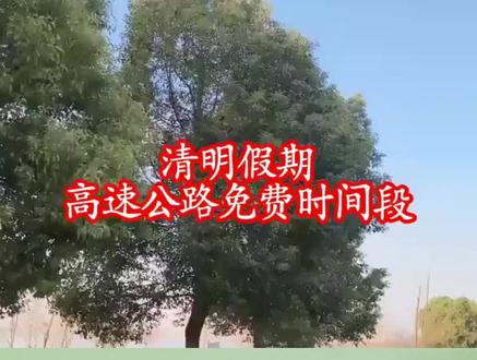 清明高速免费倒计时,今晚24时截止 #清明节 #高速免费 #安全驾驶 #平安出行 #抖音二创激励计划