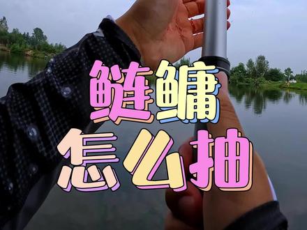 一看就会的保姆级抽鲢鳙教程在此奉上#抽鲢鳙 #钓鱼人 #台钓 #鲢鳙喜欢xbf重口味 #敏感熊钓鱼