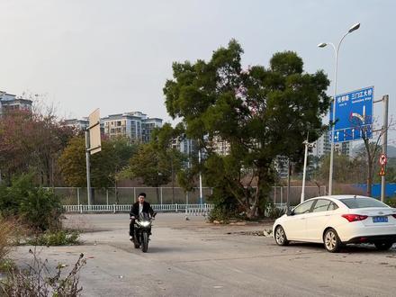 这个车,可以说是gsx250车主升级模版 #gsx250 #二手摩托车