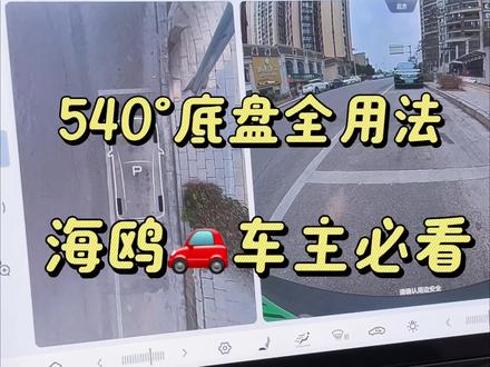 比亚迪海鸥车主必看!#比亚迪 #比亚迪海鸥 #海鸥智驾 #540度全景影像 #用车小知识