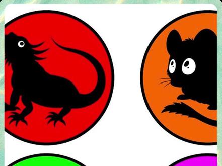 欢迎回到新一期的宠物盲盒,看看今天开箱到了哪些宠物吧?#剧情演绎 #亲子互动 #宠物盲盒 #神奇动物在抖音 #小学生