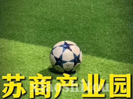 苏商产业园昨日在永州正式揭牌,这下好了,永州彻底成了“十三太保”的“后花园”!更令人惊喜的是,除了挂票树,零陵区还精心筹备了一场抽签仪式,为十三太保安排了专属的“VIP钓位”,目前南通的大哥已经着手装饰钓位了。此外,永州还在江苏大道旁栽下了十五棵“友谊树”,如今也已被悉数挂牌认领。#永州 #江苏 #湘超 #苏超