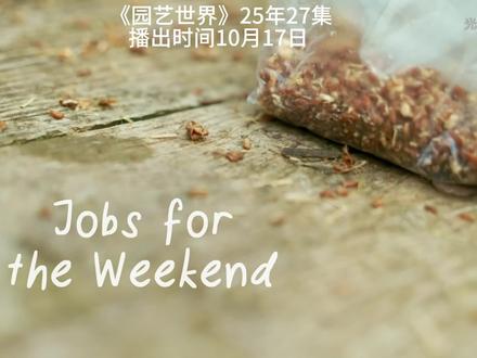 开始给植物保温了 #园艺世界 #蘑菇