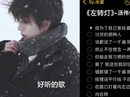 遵守交通规则!#左转灯#翻唱 #氛围感 #高冷 #抖音小助手