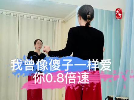 我曾像傻子一样爱你0.8倍速#喜欢跳舞的一起来💃💃💃 #想跳舞的一起来 #广场舞dou起来 #最潮广场舞 #简单易学