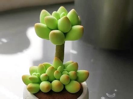 迷你多肉,简单可爱!#超轻粘土 #多肉植物 #教程 #粘土手工