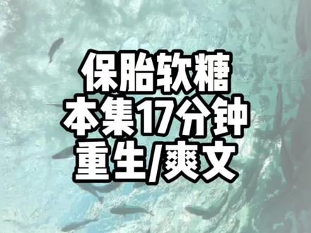 保胎软糖#小说推荐 #重生爽文 #宝藏小说