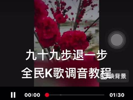 九十九步退一步全民K歌调音教程#调音教程