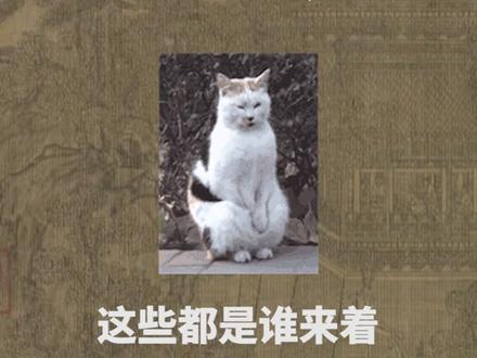 历时三年,如今完结。已经实现了一个亿的小目标。哈哈哈哈哈哈!#有声书 #有声书主播 #网文 #网文推荐 #伏天氏 #配音