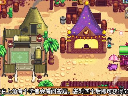 沙漠节学者问答全答案解析#星露谷物语 #星露谷 #星露谷物语攻略