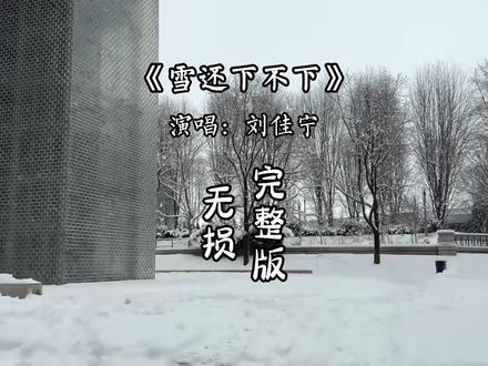 雪还下不下 我回不回老家 我还要不要编瞎话 说我春节不放假...#音乐分享 #伤感音乐