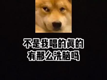 哦嚯,今天也是洗脑的一天啊哈哈哈哈哈~@抖音小助手