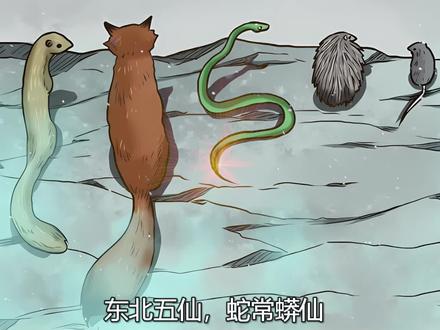 东北五仙,柳家与道祖渊源,蛇常蟒仙中竟有藐视神龙的存在 #漫画解说 #有声漫画 #奇闻怪谈 #必看漫画推荐