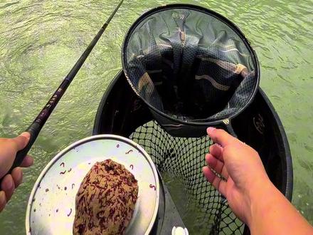 钓一场鱼花掉半个月工资,好在最后拿了奖金。#原来钓鱼才是抖音运动顶流 #2025dou来钓鱼 #dou是钓鱼人 #沃鼎王者神剑黑坑竿