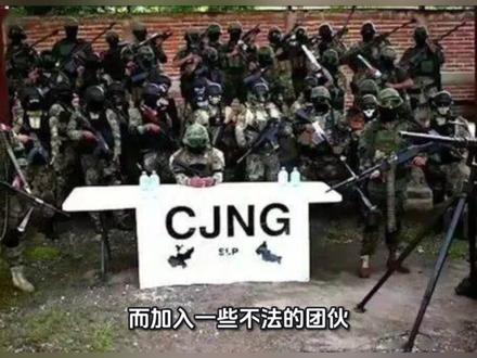 墨西哥火龙果事件讲解