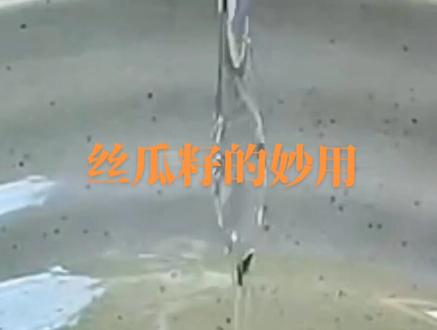 #中药文化知识#生活小帮手 #丝瓜籽的妙用看看多少人知道#生活小妙招每日更新 #人生百味自己体会