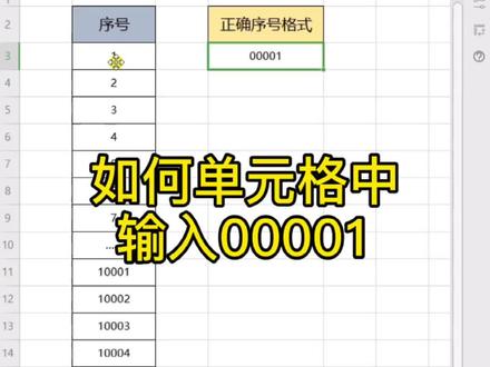 #excel技巧 十秒学会-如何在单元格中输入00001 职场助力小妙招