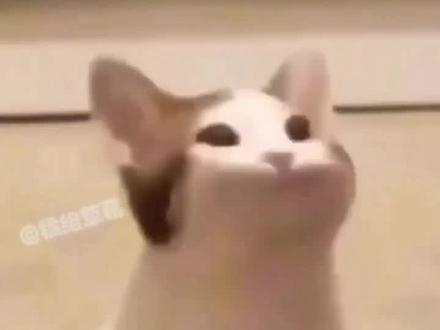 舞蹈界的卧龙凤雏 双向奔赴的病情#颜人中 #王赫野 #跳舞