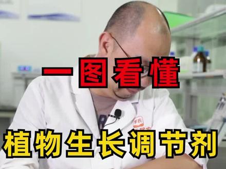 #春耕第一课 春耕农忙,各种植物生长调节素,你还分不清吗?快收藏起来,下次别用错了 #农业 #新农人