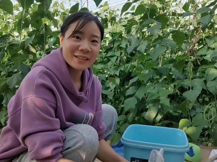 中药渣千万不要扔,发酵成水溶肥,比普通肥料强好多倍#三农 #乡村守护人