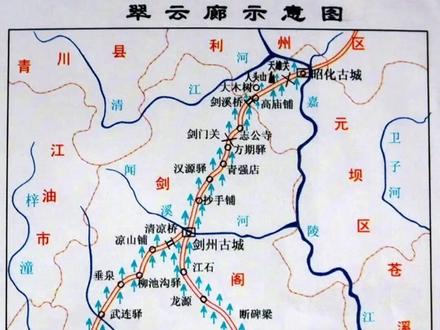 翠云廊和翠云廊景区是两个概念,翠云廊有一百多公里原生古道,翠云廊景区里只有一两公里古柏石板路……#蜀道 #徒步