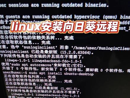 Ubuntu 工控机没远程?现场邪修装 GUI 远程救急 #linux #乌班图 #向日葵远程