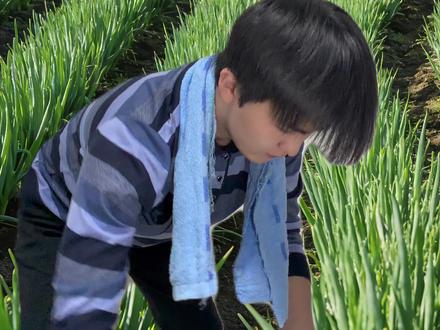 《山东人都是不知火舞 》#不知火舞梗二创大赛 #不知火舞配音模仿大赛 #原来不知火舞是山东人 #不知火舞 #山东方言