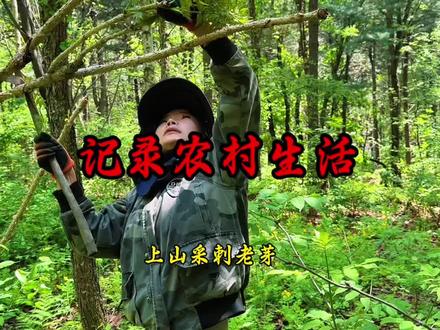 领我大爷大娘和我妈上采刺老芽 #东北山林采摘刺嫩芽全记录 #创作者中心 #创作灵感#零添加野菜 #野菜美食纯天然绿色食品 @三胖子(野猫大徒弟) @大龙-散仙大徒弟 @石磊(大龙大徒弟)