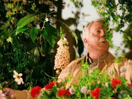 超级暖心的电影,看完心情无敌好!! #电影解说 #治愈电影 #田园