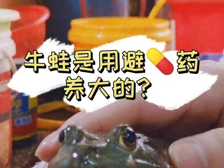 #辟谣 #牛蛙 评论区有彩蛋 @DOU+小助手