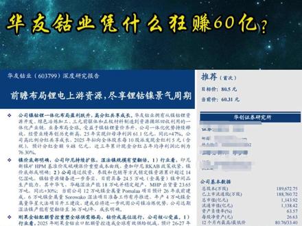 华友钴业凭什么狂赚60亿? #镍钴锂 #华友钴业