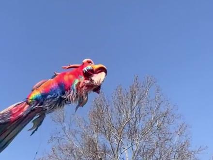 悬赏10000元 全网都在找
济南21米长“网红鳌鱼”飘到哪里了?
网友:替班的“五彩祥龙”来了
再不回来工作就没了
#济南鳌鱼 #上新街 #网红打卡 #济南