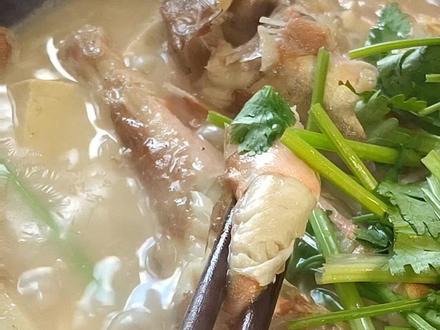 红头鱼炖豆腐,鲜香鲜香。秋天的第一锅鱼汤,满满的都是爱啊#美食 #抖音美食创作人 #海鲜 #青岛#红头鱼