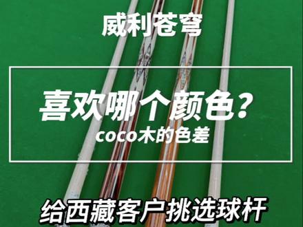 给西藏客户挑选威利苍穹。喜欢哪个颜色?#台球器材