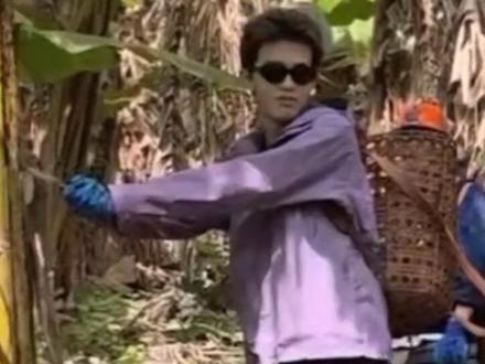 李双刀今天背个小背篓又上山砍香蕉了@李昊KahoLee @种地吧李昊 #李昊