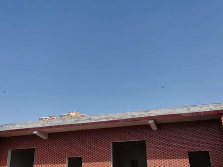 红降公鸽子家飞引来一只红二线小鸽子 最后自己进鸽棚了 #赛鸽 #信鸽 #种鸽