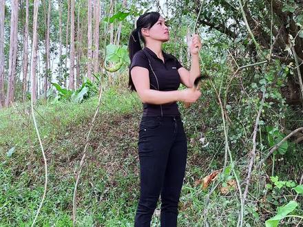 丝瓜藤也叫水瓜藤,每年的秋后,农村人都会把丝瓜藤采收起来