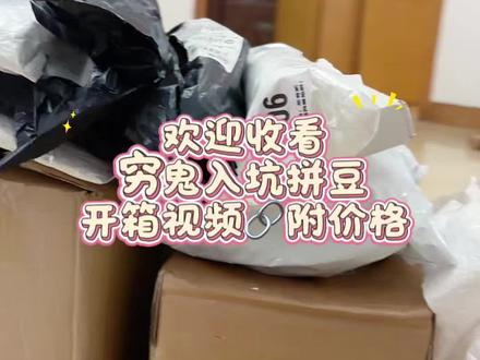 穷鬼版拼豆开箱|入坑拼豆需要多少钱? #心心念念的终于入手了 #我染上了拼豆 #拼豆 #开箱 #新手