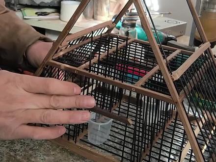 #纯手工打造 #鸟笼鸟具 看看灵敏效果