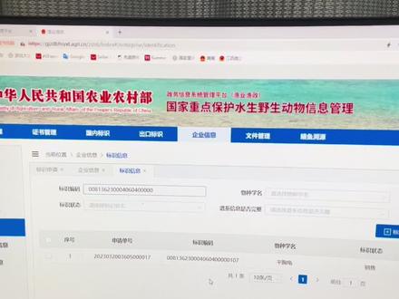 今天说一说标识卡的事 不用一直再问啦~#证件 #鹰嘴龟