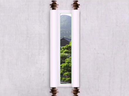 中国最年轻的盆景艺术大师、实力派盆景作家张志刚,励志园盆景园 #真柏盆景 #山水盆景